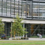 A group of students gathered outside of a library