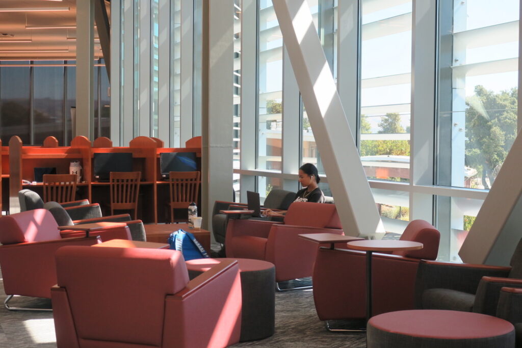 Student studying in Library seating area